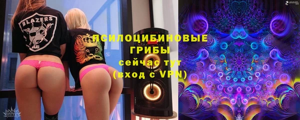 ПСИЛОЦИБИНОВЫЕ ГРИБЫ Семилуки
