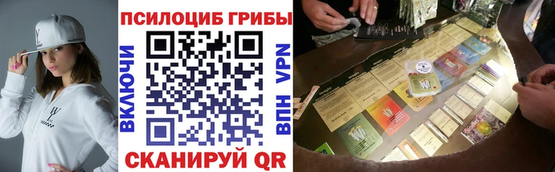 Псилоцибиновые грибы мицелий  наркошоп  Елец 