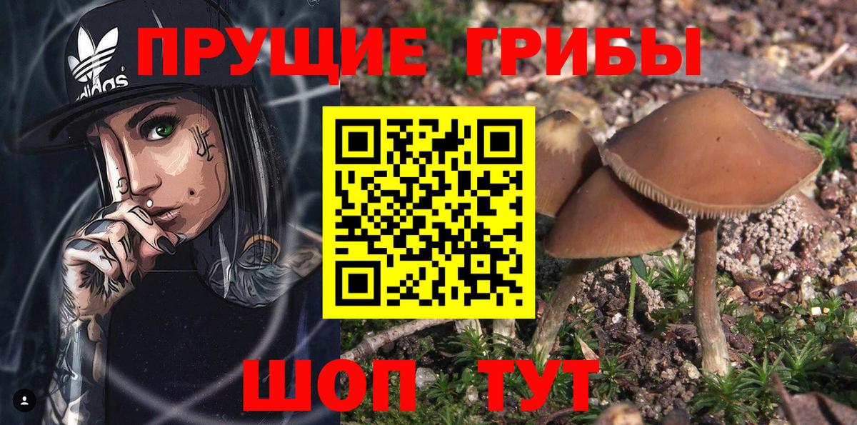 МЕФ кристаллы  Cocaine  Елец  МАРИХУАНА  ГАШ  ГАШИШ  Вход с VPN  МДМА 