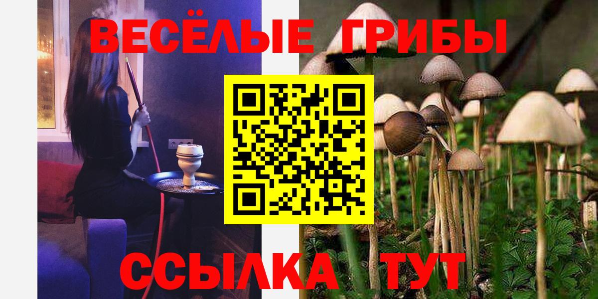 Галлюциногенные грибы мицелий Елец